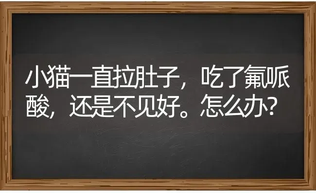 小猫一直拉肚子，吃了氟哌酸，还是不见好。怎么办？ | 动物养殖问答