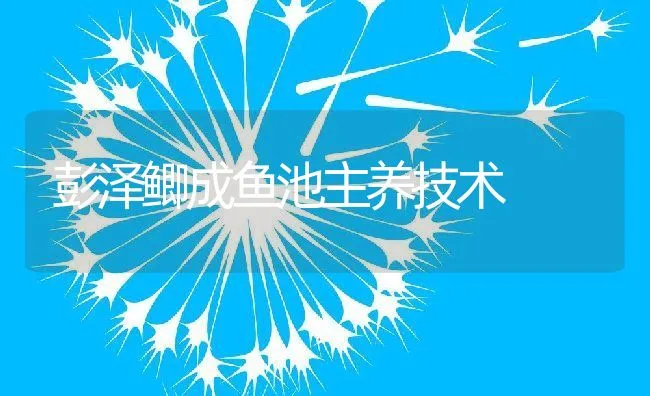 彭泽鲫成鱼池主养技术 | 动物养殖饲料