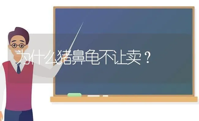 为什么猪鼻龟不让卖？ | 动物养殖问答