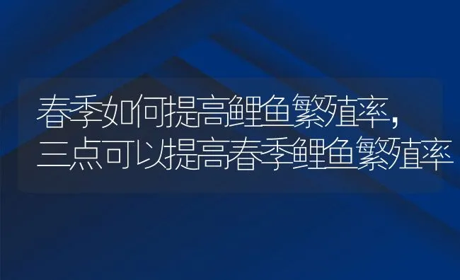 春季如何提高鲤鱼繁殖率，三点可以提高春季鲤鱼繁殖率 | 动物养殖饲料