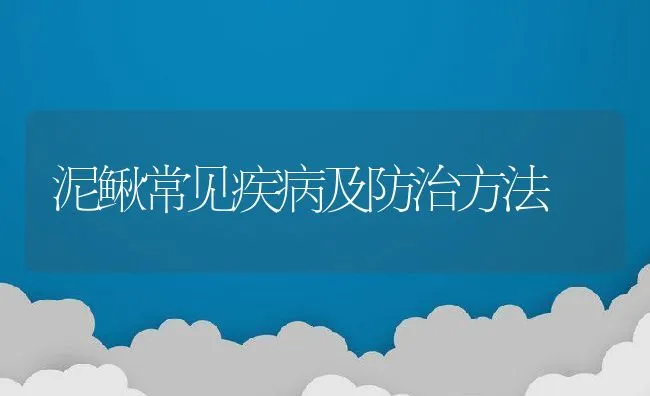 泥鳅常见疾病及防治方法 | 水产养殖知识