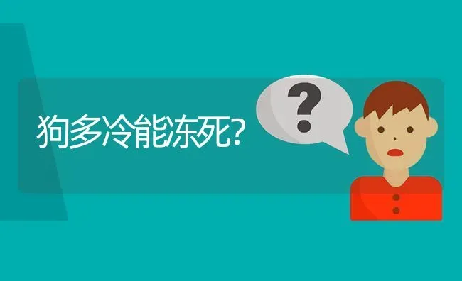 狗多冷能冻死？ | 动物养殖问答