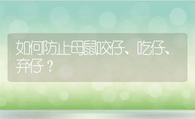 如何防止母鼠咬仔、吃仔、弃仔？ | 动物养殖百科