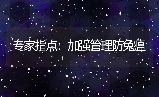 专家指点：加强管理防兔瘟 | 动物养殖学堂