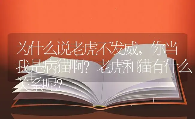 为什么说老虎不发威，你当我是病猫啊？老虎和猫有什么关系呢？ | 动物养殖问答