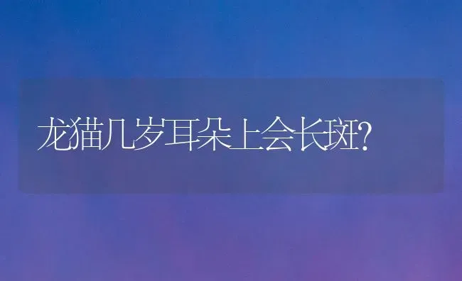 龙猫几岁耳朵上会长斑？ | 动物养殖问答