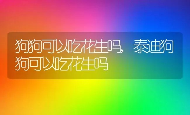 狗狗可以吃花生吗,泰迪狗狗可以吃花生吗 | 宠物百科知识
