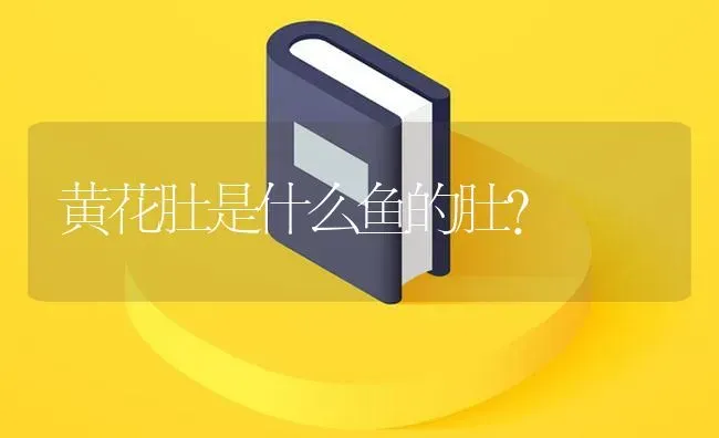 黄花肚是什么鱼的肚？ | 鱼类宠物饲养