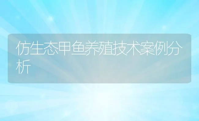 仿生态甲鱼养殖技术案例分析 | 动物养殖学堂