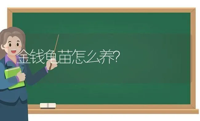 求助，猫咪吃了塑料泡沫吐了两次？ | 动物养殖问答