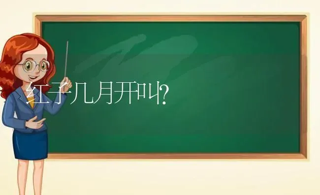 红子几月开叫？ | 动物养殖问答