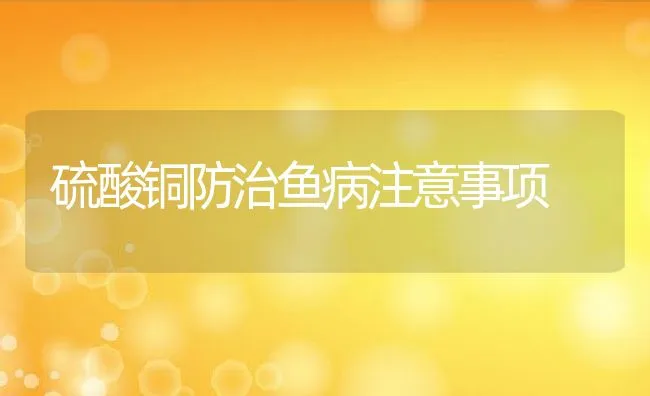 种猪配种员必须牢记的配种黄金时间表 | 动物养殖学堂