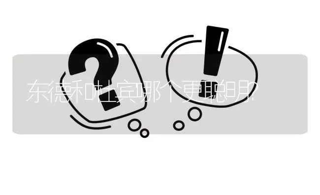 东德和杜宾哪个更聪明？ | 动物养殖问答