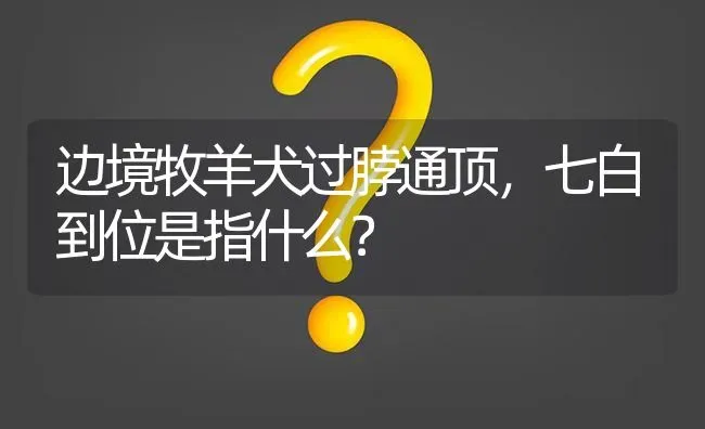 边境牧羊犬过脖通顶，七白到位是指什么？ | 动物养殖问答