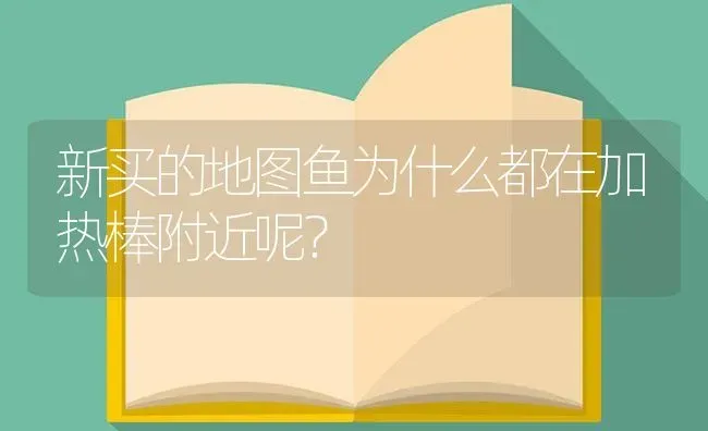 新买的地图鱼为什么都在加热棒附近呢？ | 鱼类宠物饲养