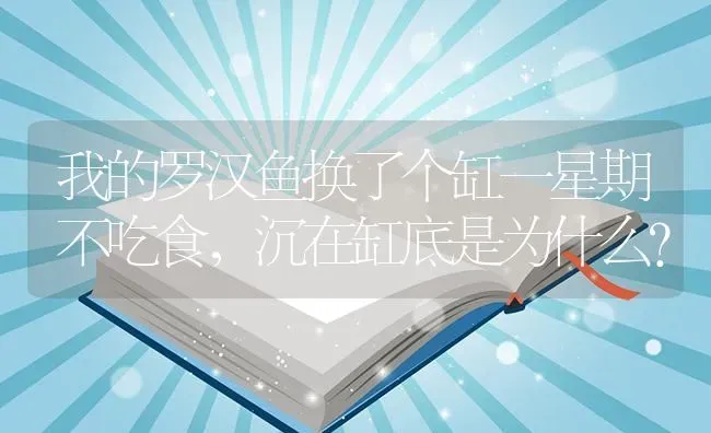 我的罗汉鱼换了个缸一星期不吃食，沉在缸底是为什么？ | 鱼类宠物饲养