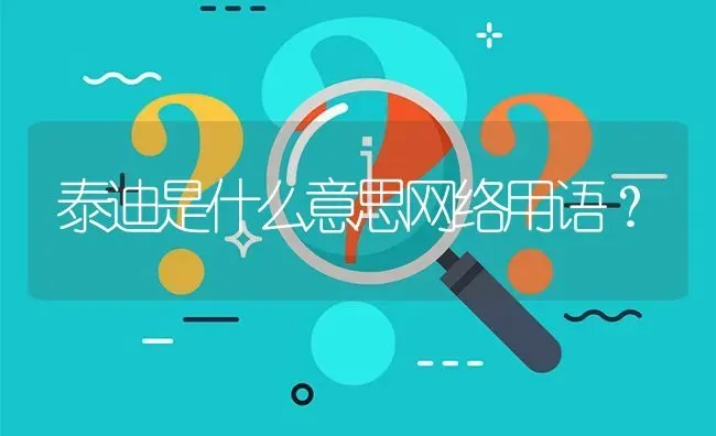 泰迪是什么意思网络用语？ | 动物养殖问答