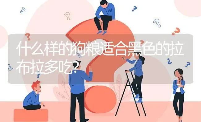 4岁拉布拉多吃一顿够吗？ | 动物养殖问答