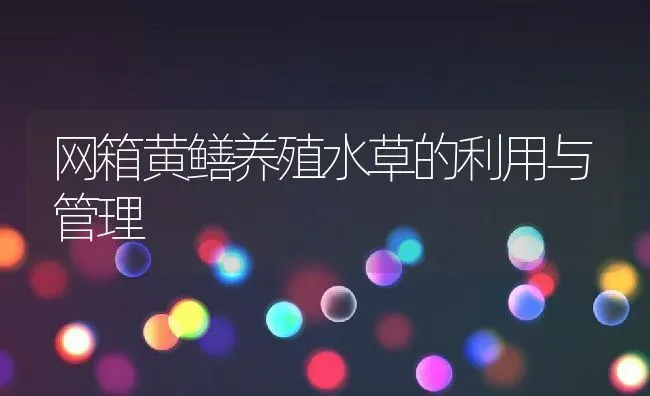 泥鳅稻田养殖技术大全 | 动物养殖百科