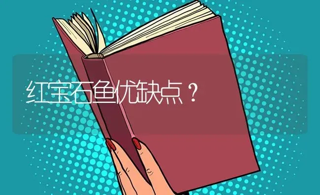 红宝石鱼优缺点？ | 鱼类宠物饲养