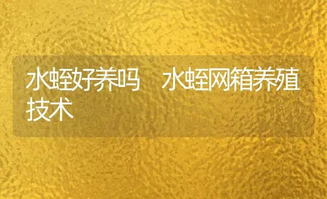 水蛭好养吗 水蛭网箱养殖技术 | 动物养殖教程