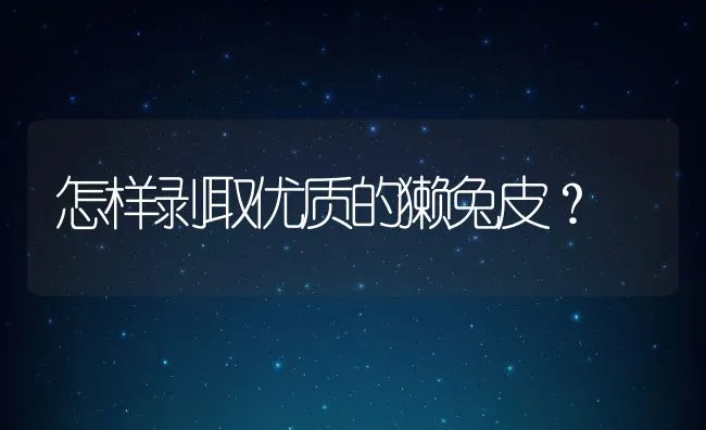 怎样剥取优质的獭兔皮？ | 水产养殖知识