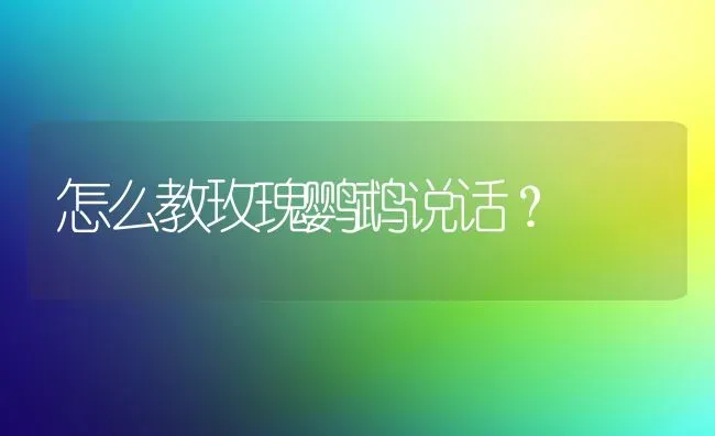 怎么教玫瑰鹦鹉说话？ | 动物养殖问答