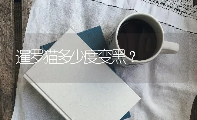 暹罗猫多少度变黑？ | 动物养殖问答