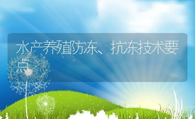 水产养殖防冻、抗冻技术要点 | 动物养殖饲料