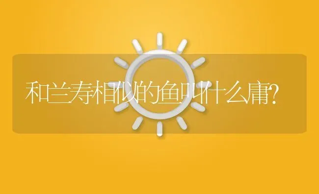 和兰寿相似的鱼叫什么庸？ | 鱼类宠物饲养