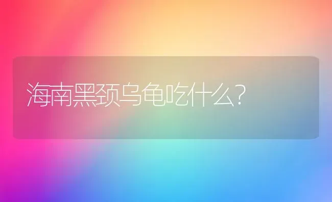 海南黑颈乌龟吃什么？ | 动物养殖问答