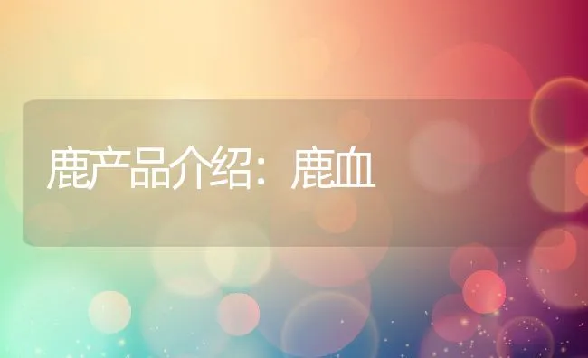 适时起捕――提高青虾产量 | 海水养殖技术