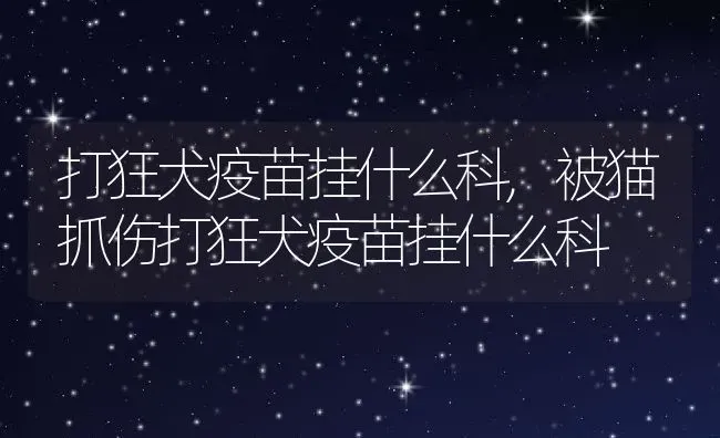 打狂犬疫苗挂什么科,被猫抓伤打狂犬疫苗挂什么科 | 宠物百科知识