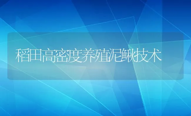 稻田高密度养殖泥鳅技术 | 水产养殖知识