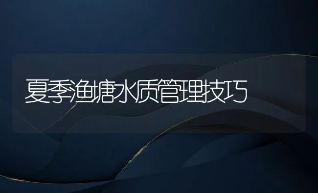 夏季渔塘水质管理技巧 | 动物养殖饲料