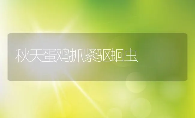 秋天蛋鸡抓紧驱蛔虫 | 动物养殖学堂