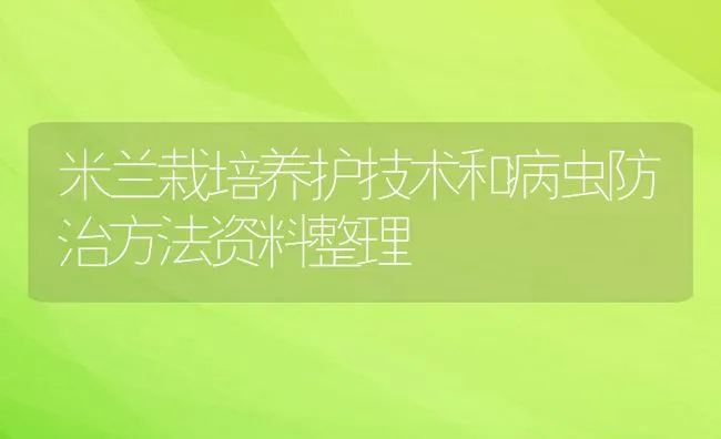 苏威拉西蜂 | 动物养殖学堂