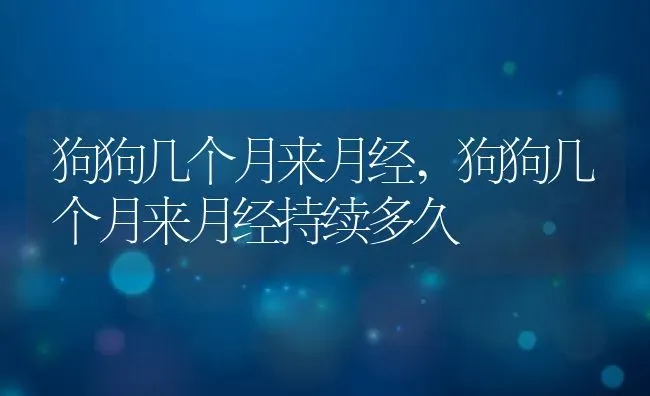 狗狗几个月来月经,狗狗几个月来月经持续多久 | 宠物百科知识