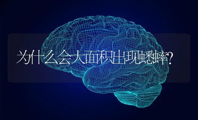 为什么会大面积出现蟋蟀？ | 动物养殖问答