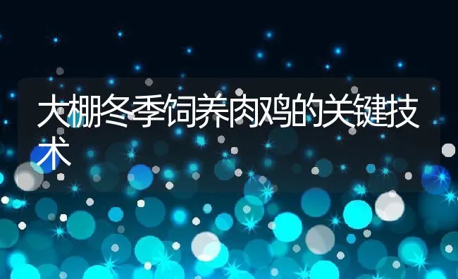 大棚冬季饲养肉鸡的关键技术 | 动物养殖学堂