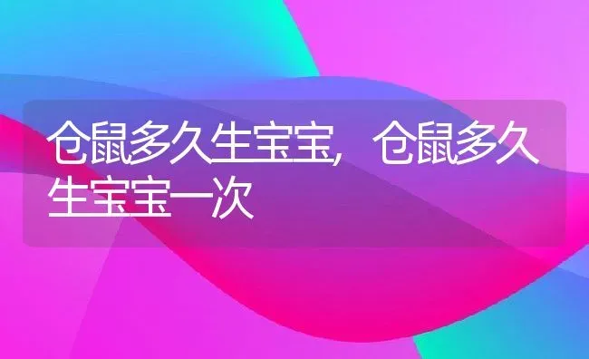 仓鼠多久生宝宝,仓鼠多久生宝宝一次 | 宠物百科知识