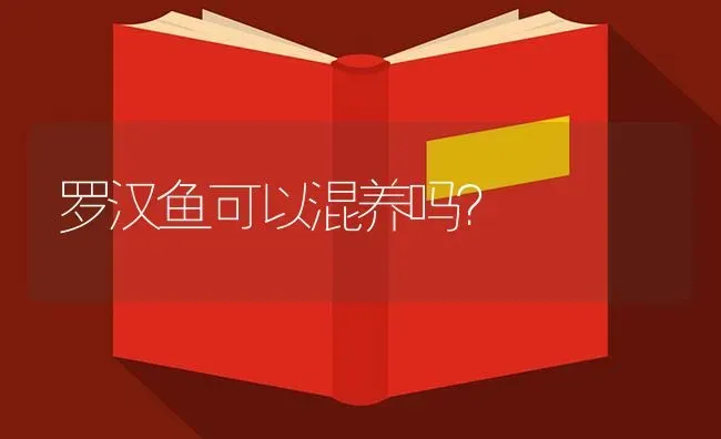 罗汉鱼可以混养吗？ | 鱼类宠物饲养