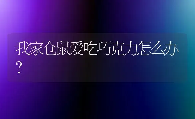 为什么有钱人家的狗比较安静，不会朝其它狗叫？ | 动物养殖问答