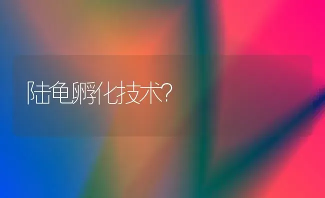 陆龟孵化技术？ | 动物养殖问答