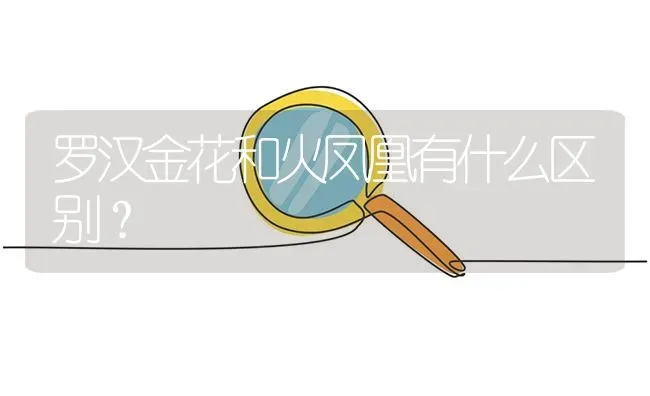 罗汉金花和火凤凰有什么区别？ | 鱼类宠物饲养