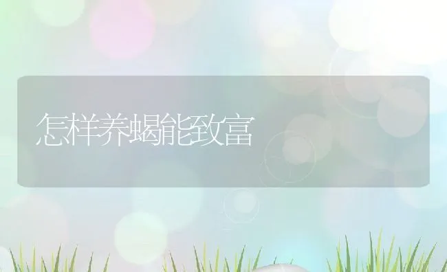 怎样养蝎能致富 | 动物养殖饲料