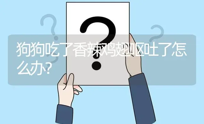 狗狗吃了香辣鸡翅呕吐了怎么办？ | 动物养殖问答