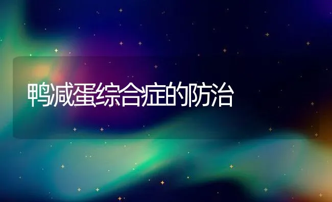 鸭减蛋综合症的防治 | 动物养殖学堂