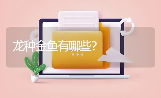 龙种金鱼有哪些？ | 鱼类宠物饲养