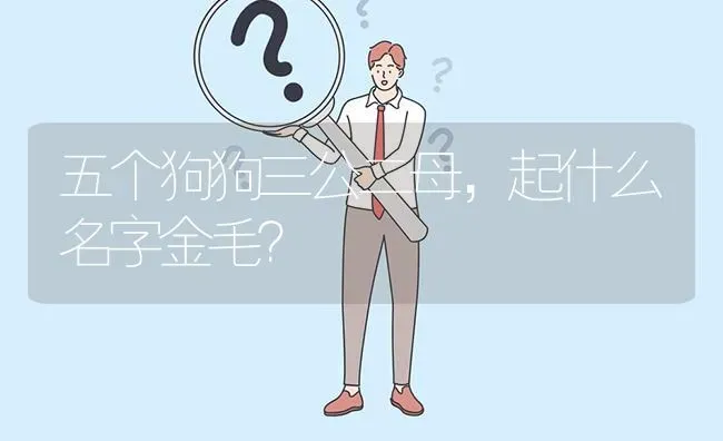 五个狗狗三公二母，起什么名字金毛？ | 动物养殖问答